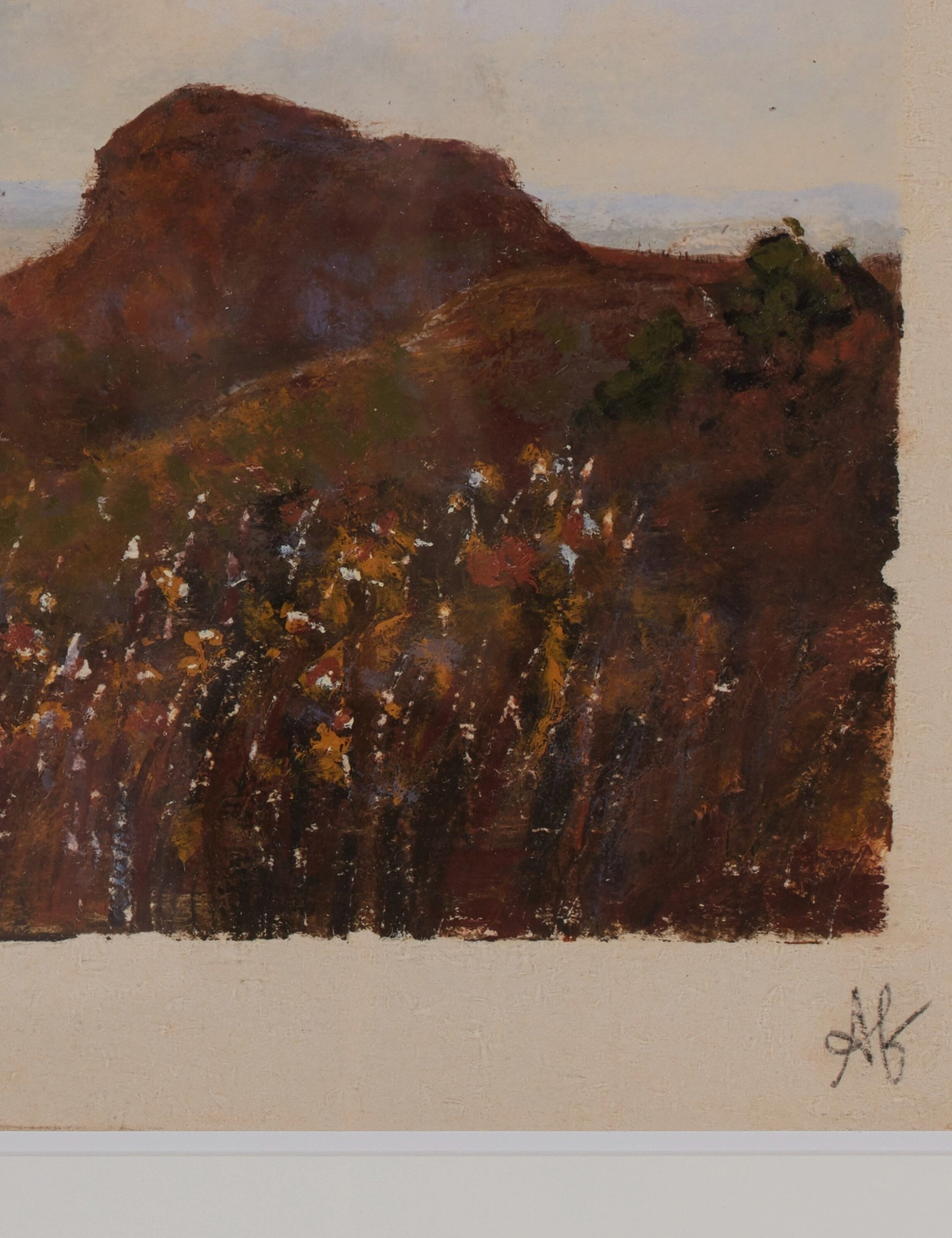 Desert VII by Aileen Fitzgerald