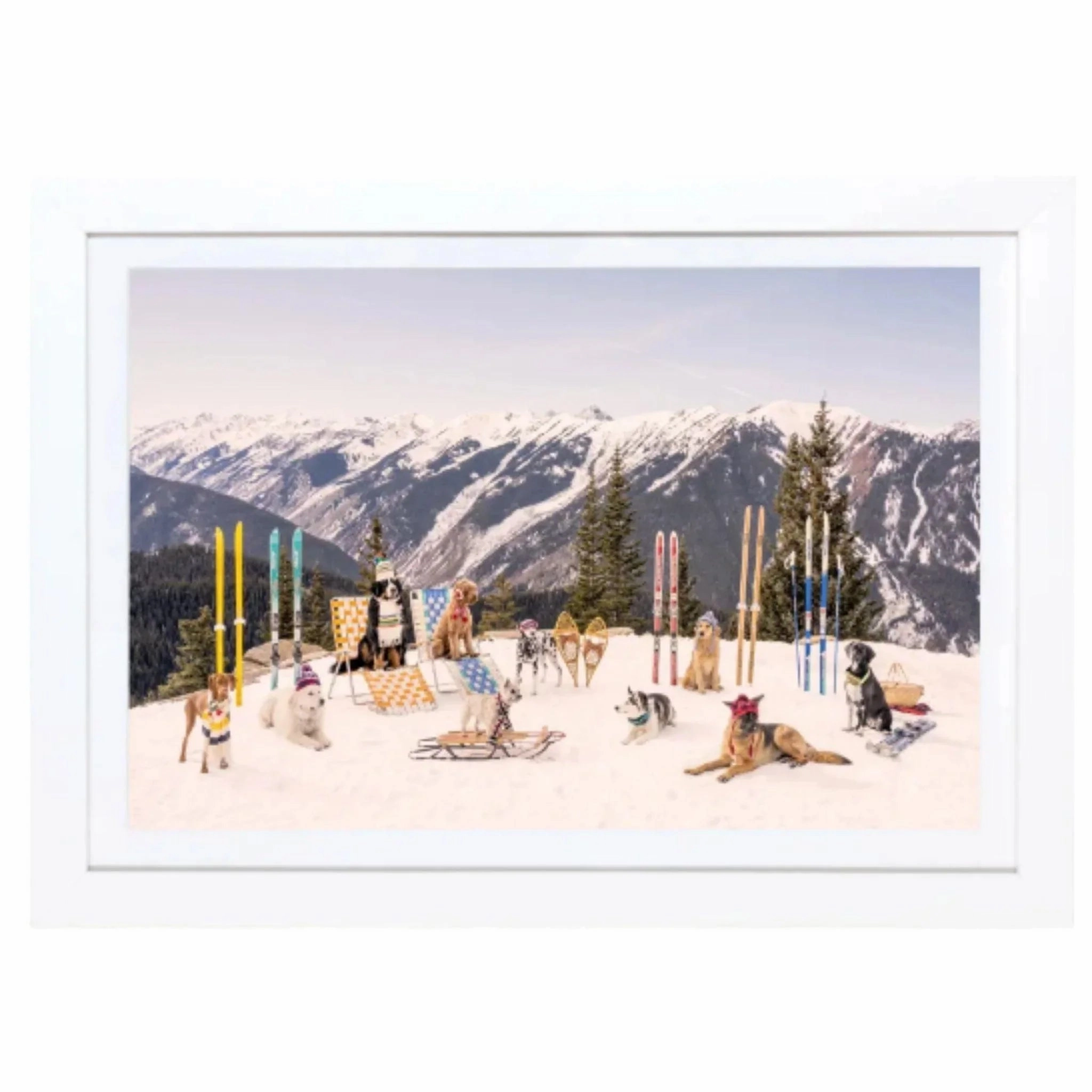 Dogs of Aspen Mini Framed Print by Gray Malin
