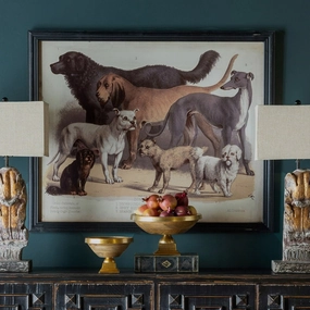 Domestic Dogs Framed Print 
