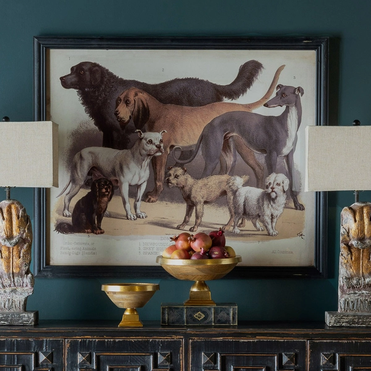 Domestic Dogs Framed Print 