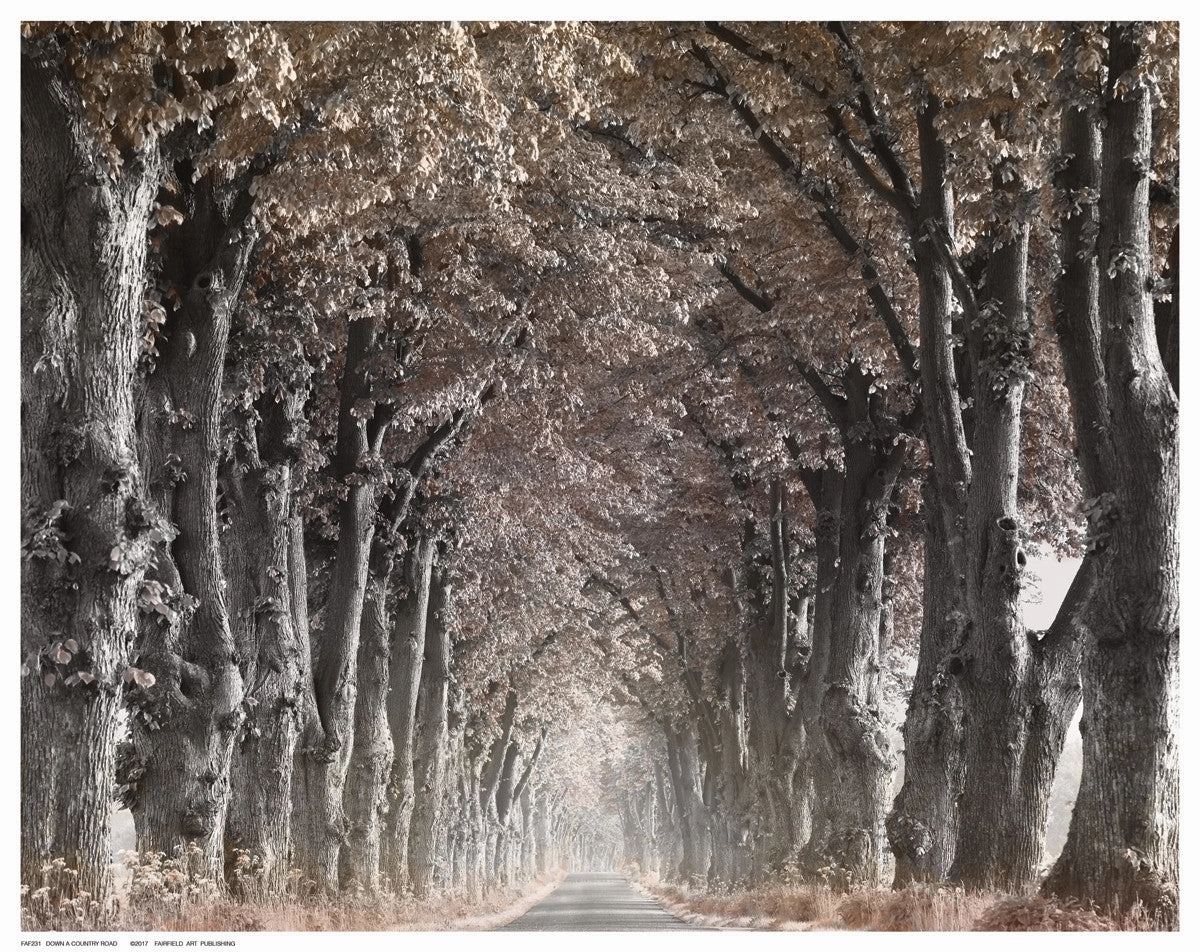 Down The Country Road 