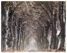 Down The Country Road 