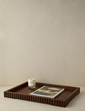 Dryden Tray 