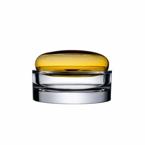 Ecrin Lidded Vessel Wide Amber 