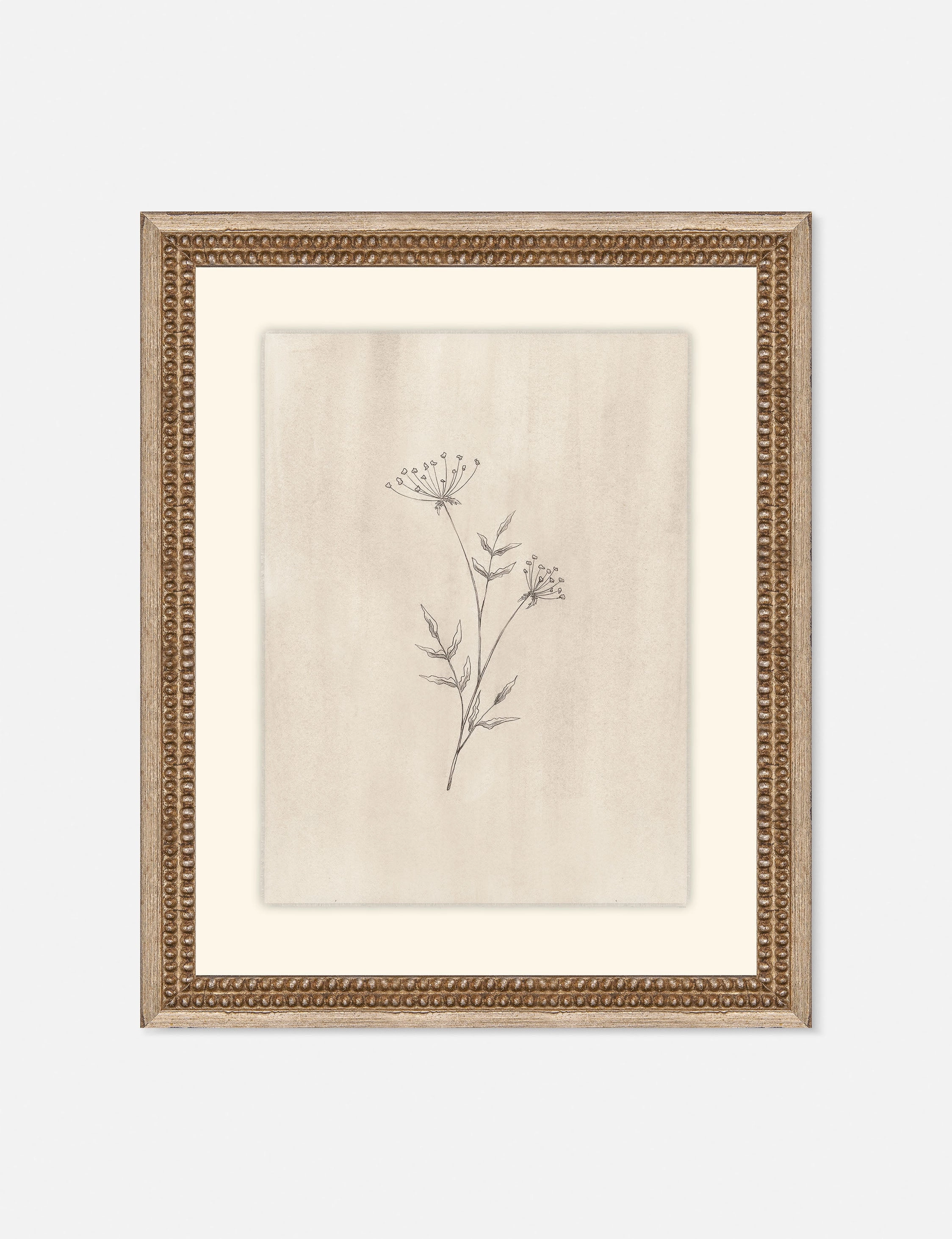 Elegant Botanical IV Wall Art by Makai Howell 