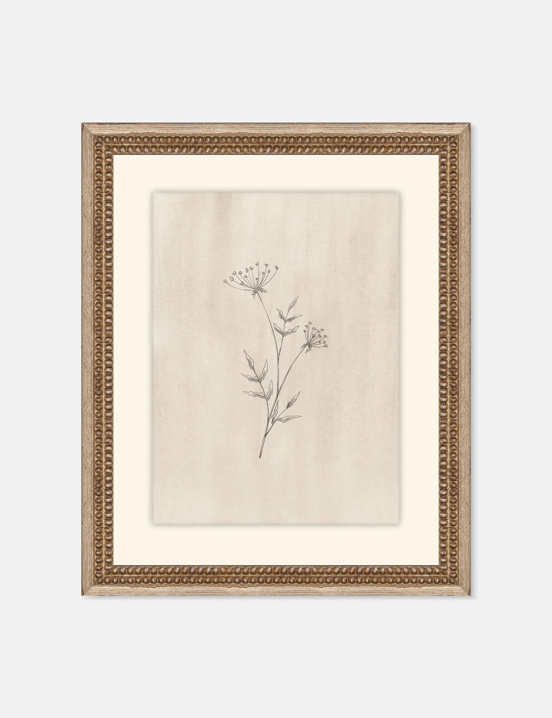 Elegant Botanical IV Wall Art by Makai Howell 