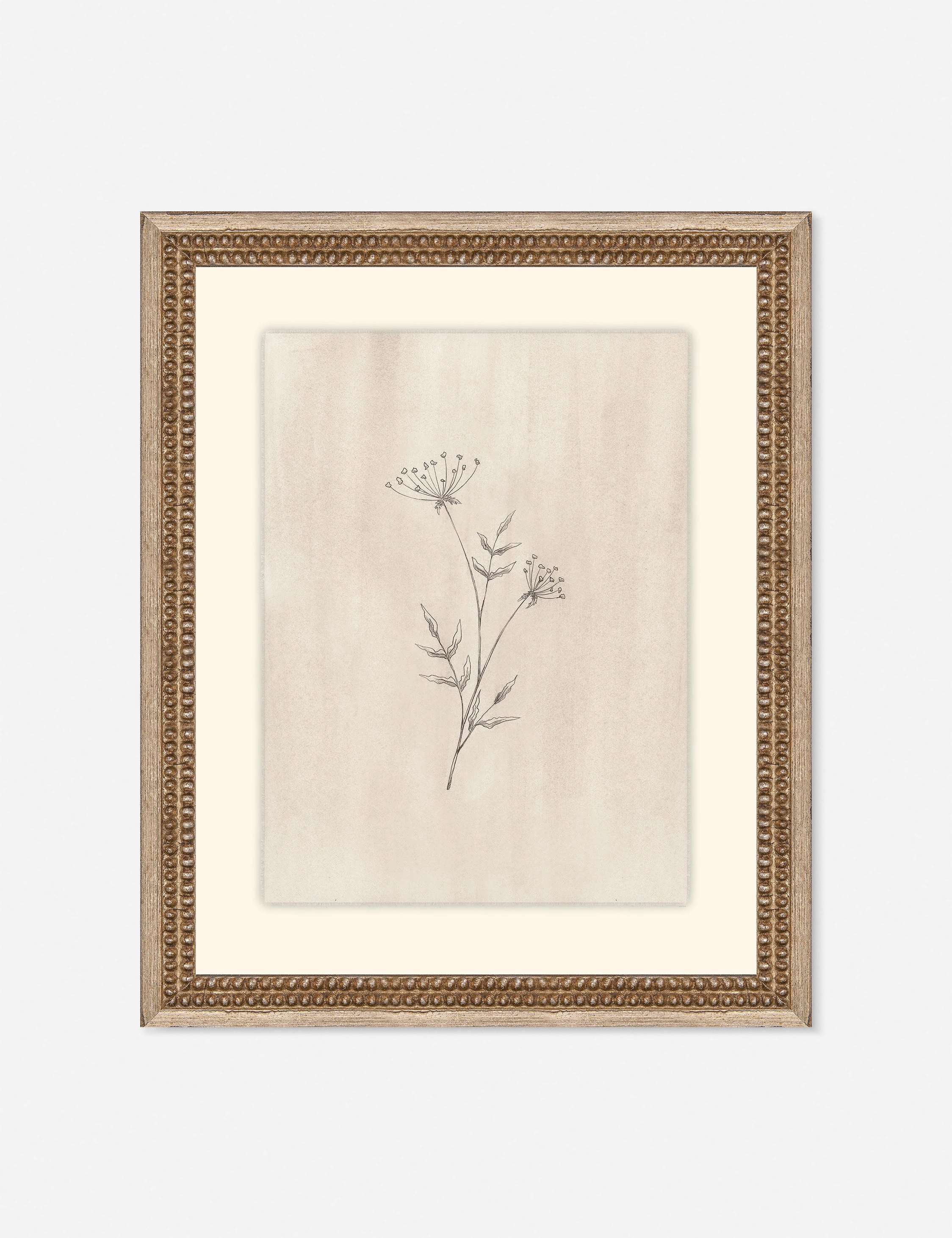 Elegant Botanical IV Wall Art by Makai Howell 
