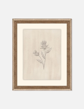 Elegant Botanical V Wall Art by Makai Howell 