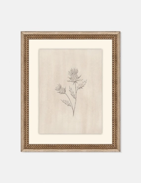 Elegant Botanical V Wall Art by Makai Howell 