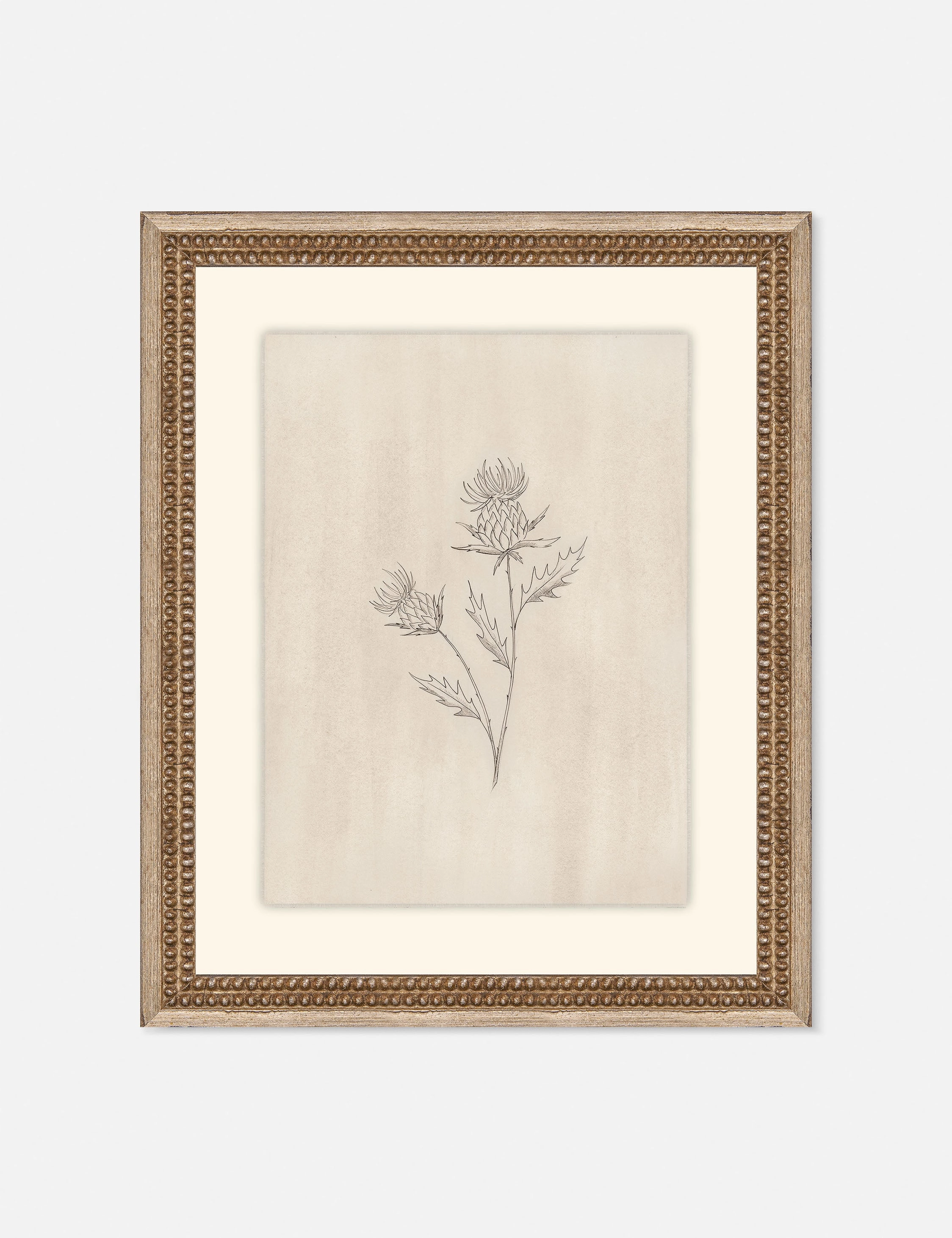 Elegant Botanical V Wall Art by Makai Howell 