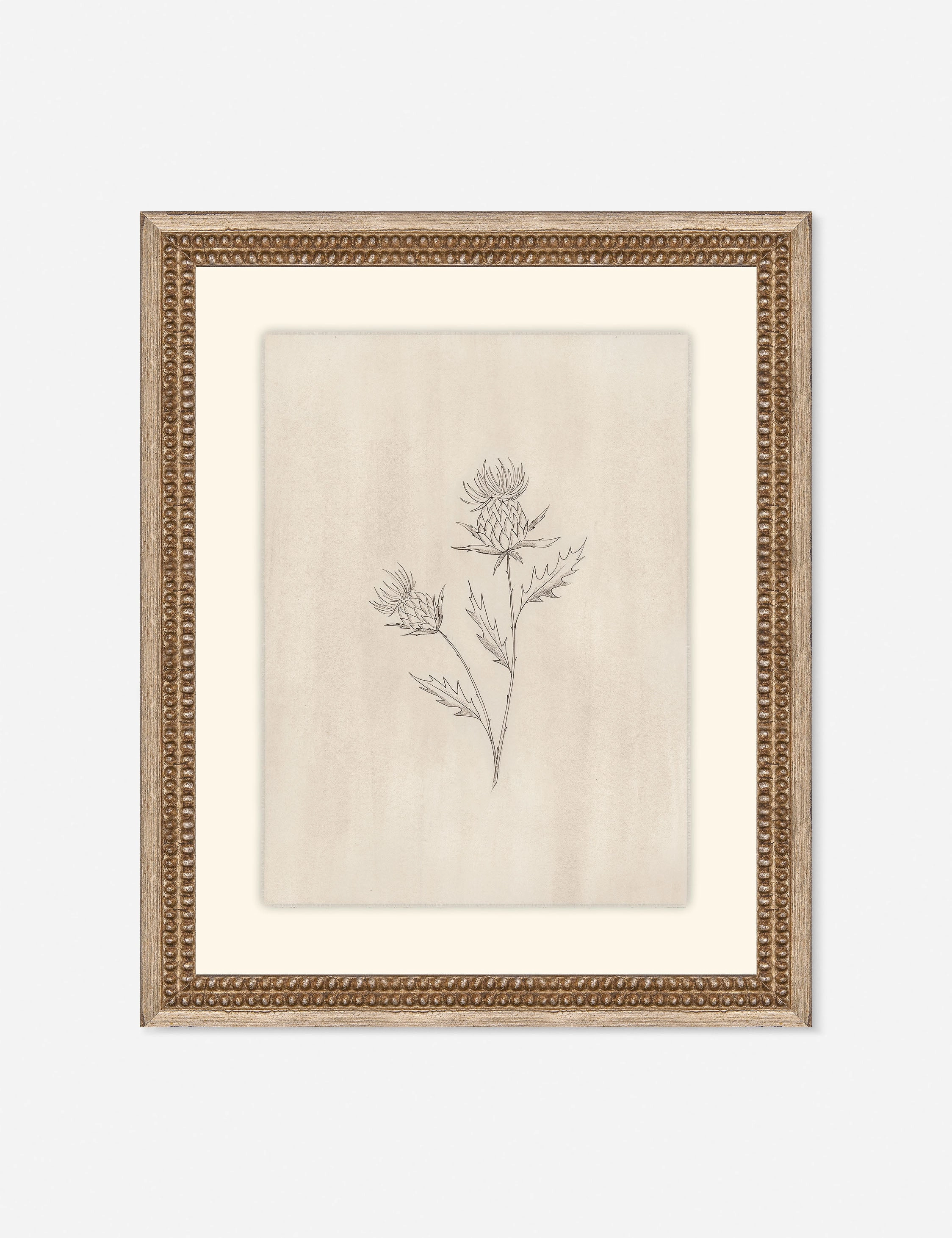 Elegant Botanical V Wall Art by Makai Howell 
