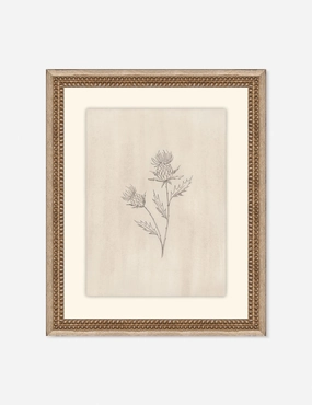 Elegant Botanical V Wall Art by Makai Howell 