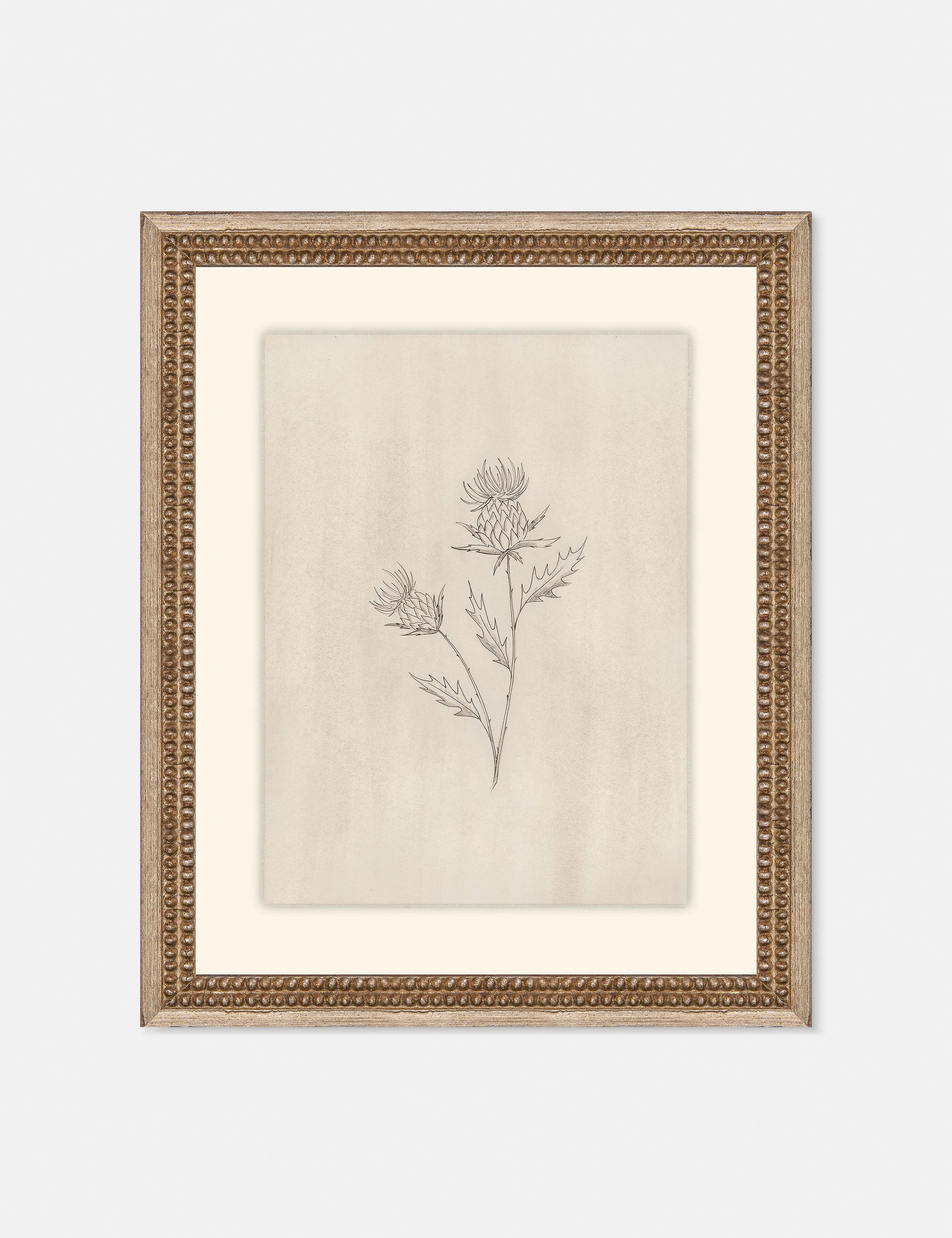 Elegant Botanical V Wall Art by Makai Howell 
