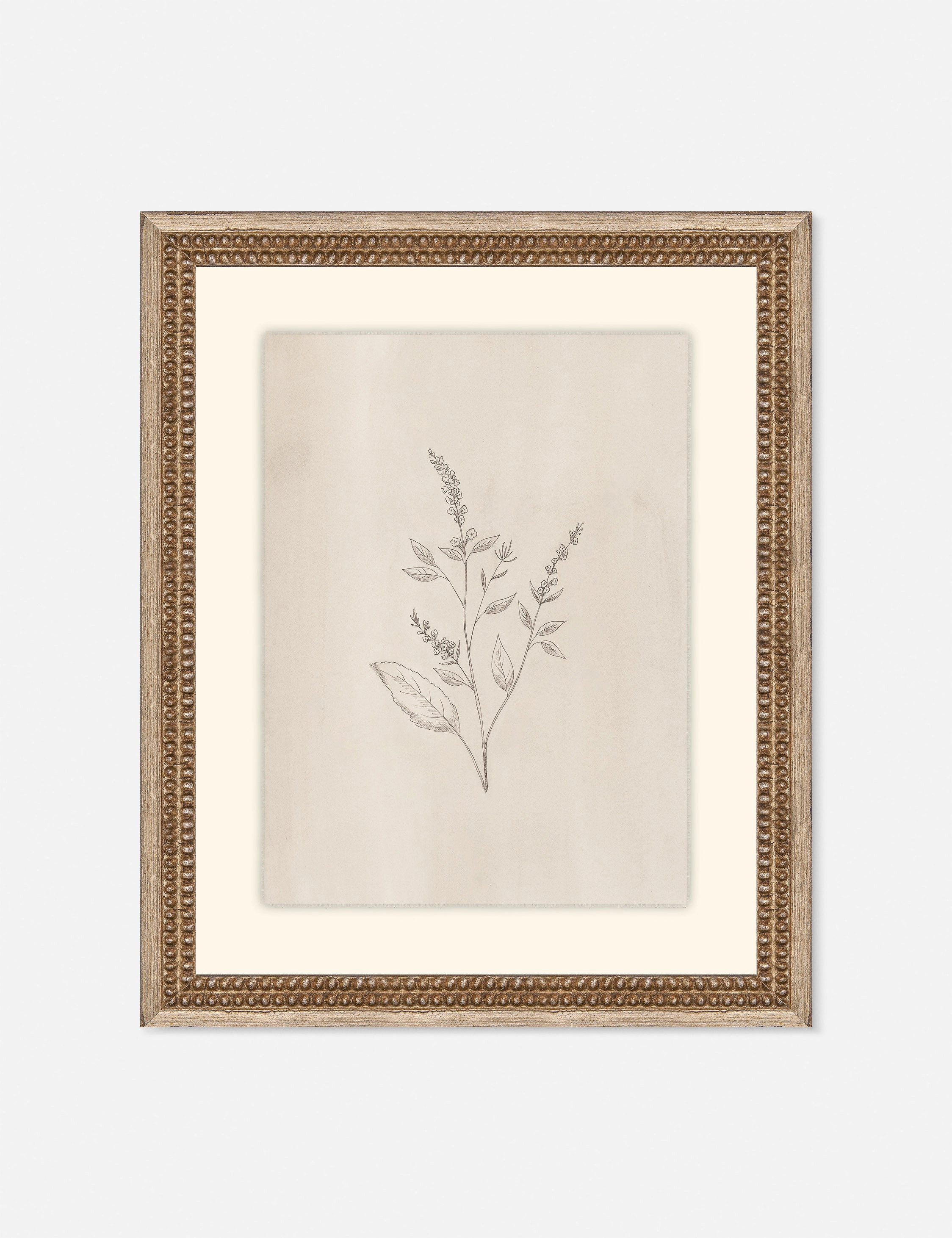 Elegant Botanical VI Wall Art by Makai Howell 