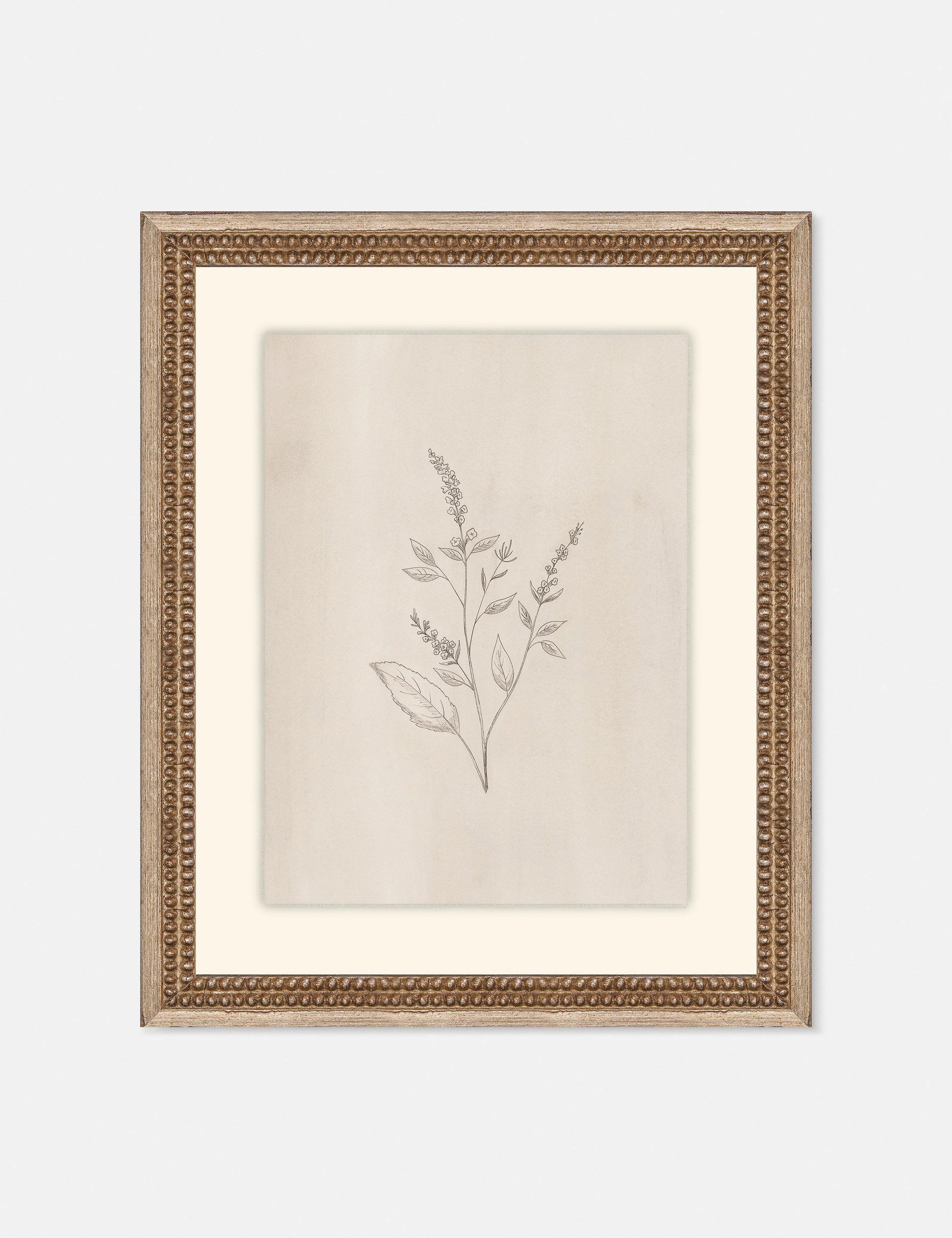 Elegant Botanical VI Wall Art by Makai Howell 