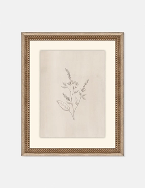 Elegant Botanical VI Wall Art by Makai Howell 