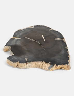 Farzana Petrified Wood Slab -  - 