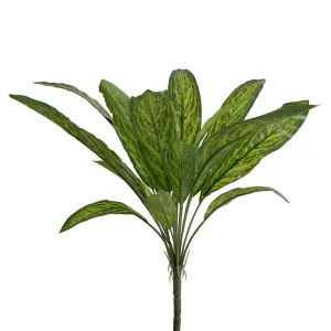 Faux Aglaonema Spray 