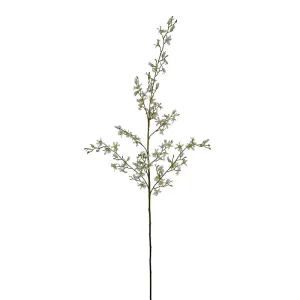 Faux Brassia Spider Orchid Stem 