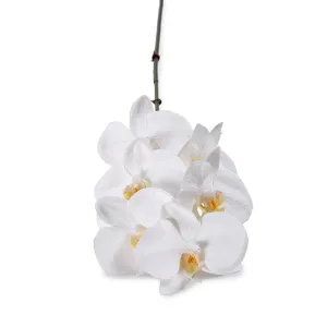 Faux Phalaenopsis Flower Stem 