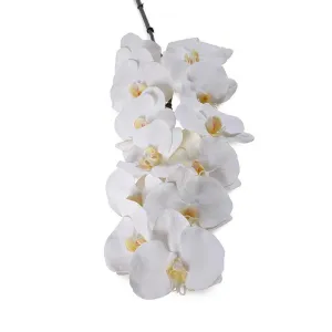 Faux Phalaenopsis Orchid Spray 