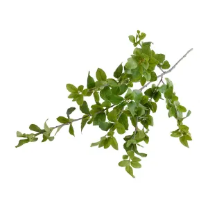 Faux Privet Spray 