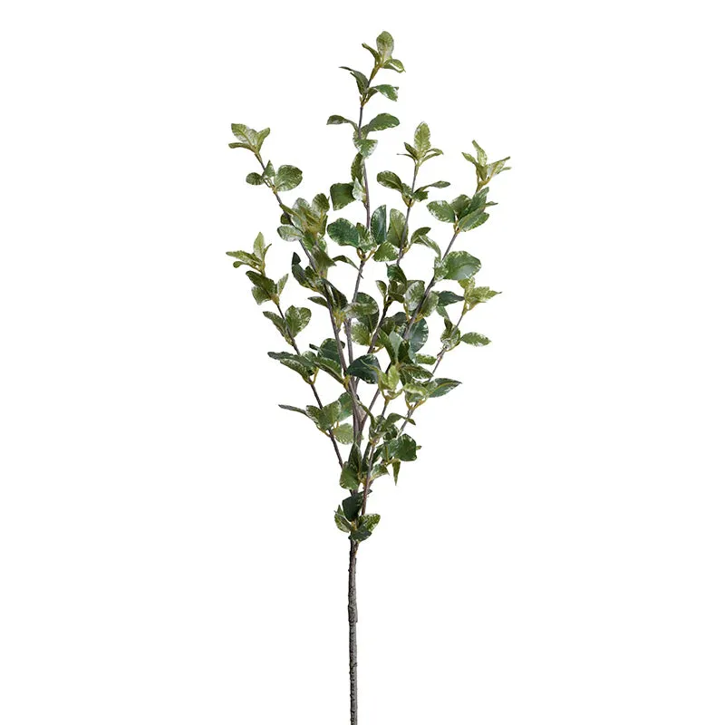 Faux Privet Spray