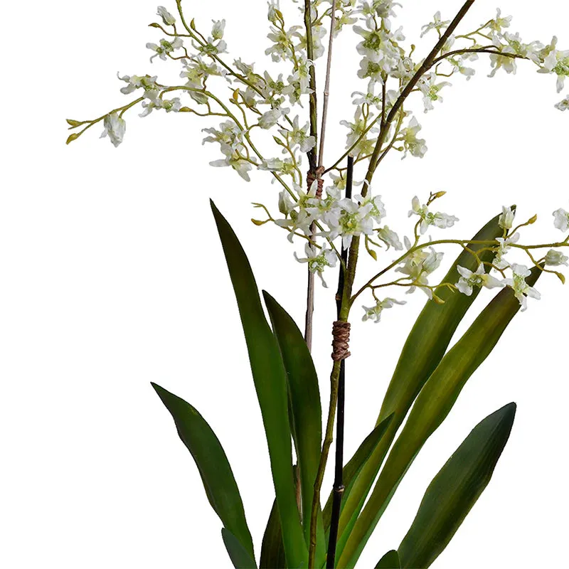 Faux White Brassia Orchids in Terracotta Pot