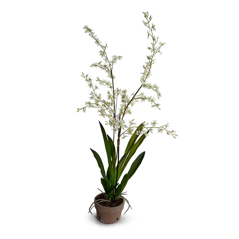 Faux White Brassia Orchids in Terracotta Pot 