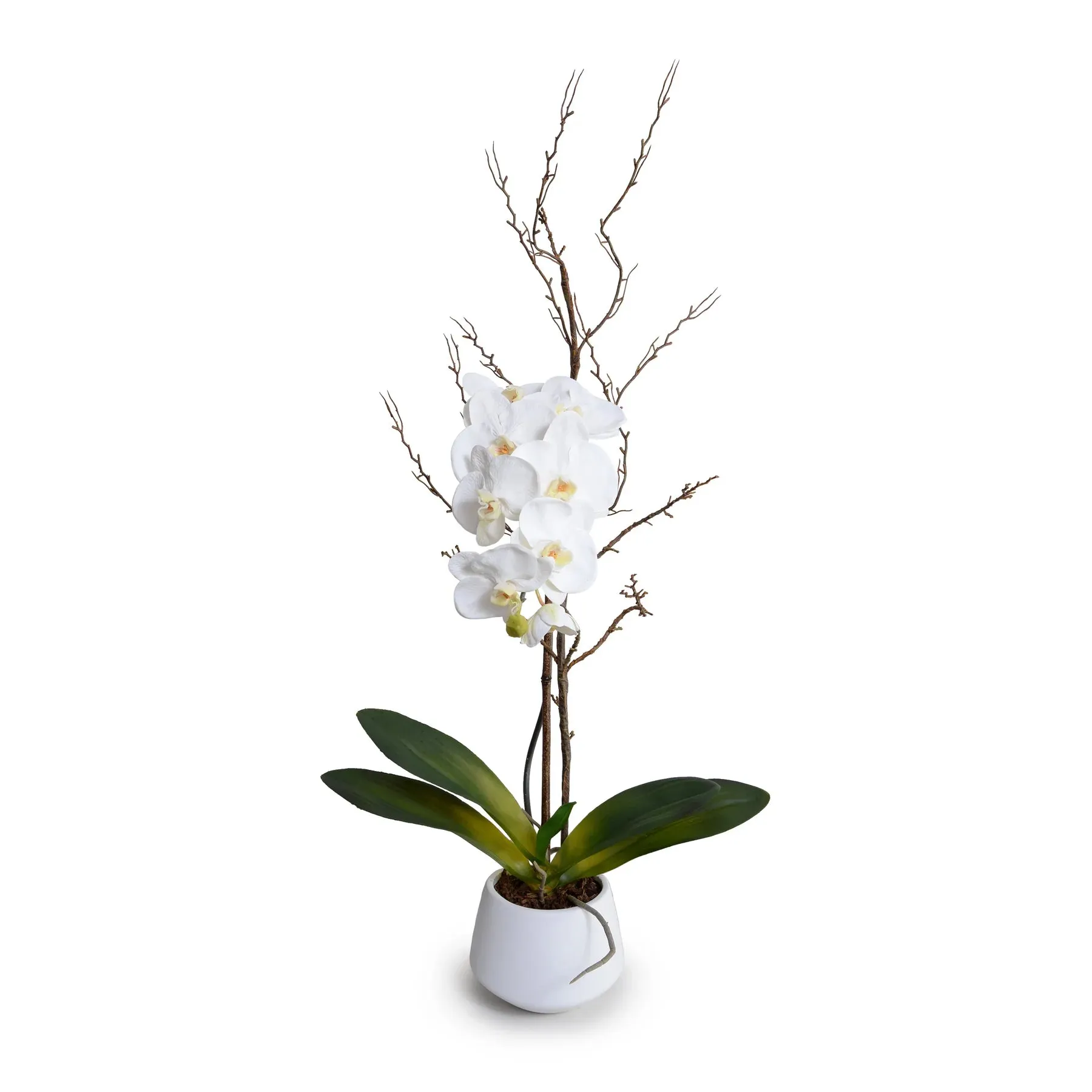 Faux White Phalaenopsis Orchid with Curly Willow in White Pot 
