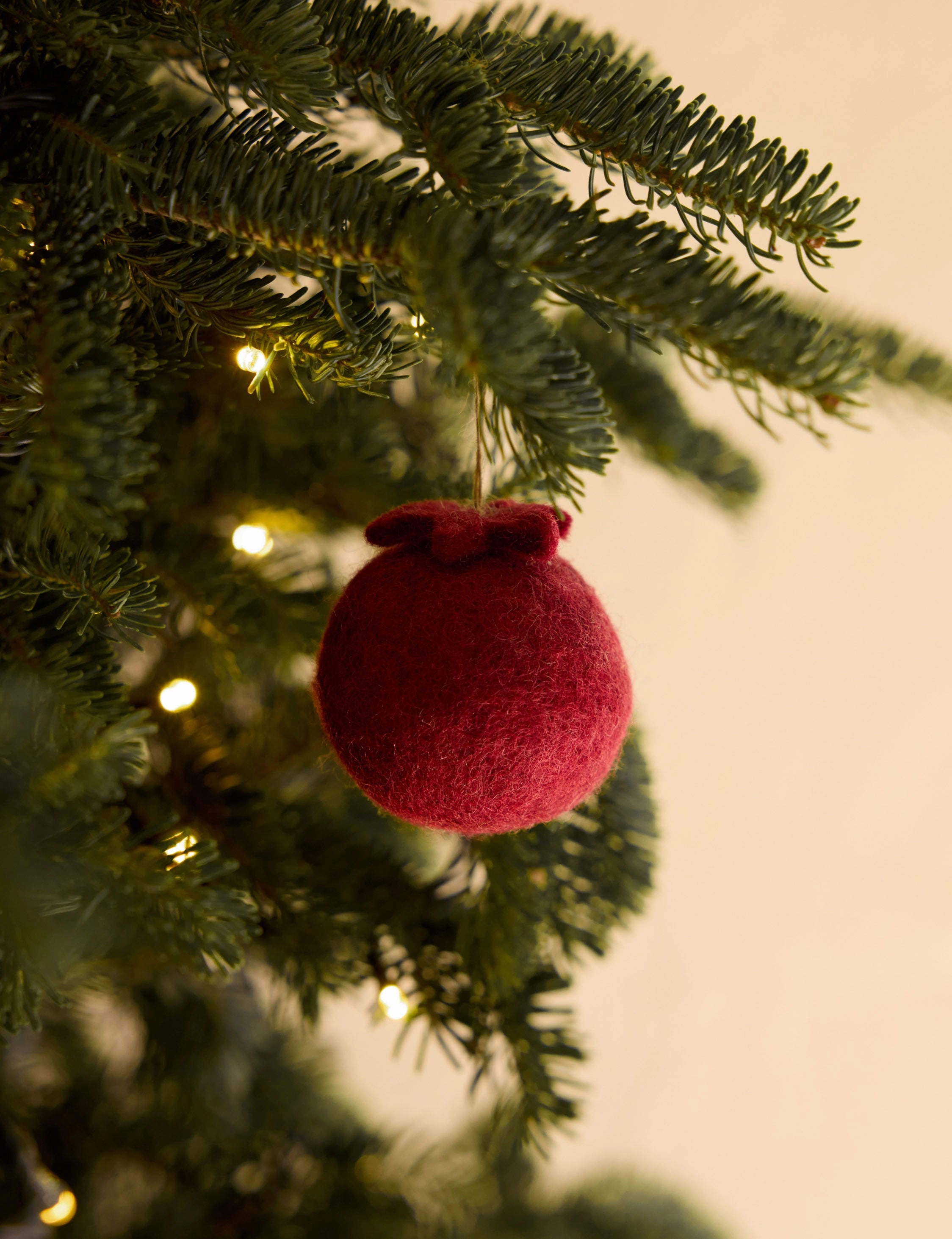 Felt Fruit Ornaments (Set of 4) by Sarah Sherman Samuel