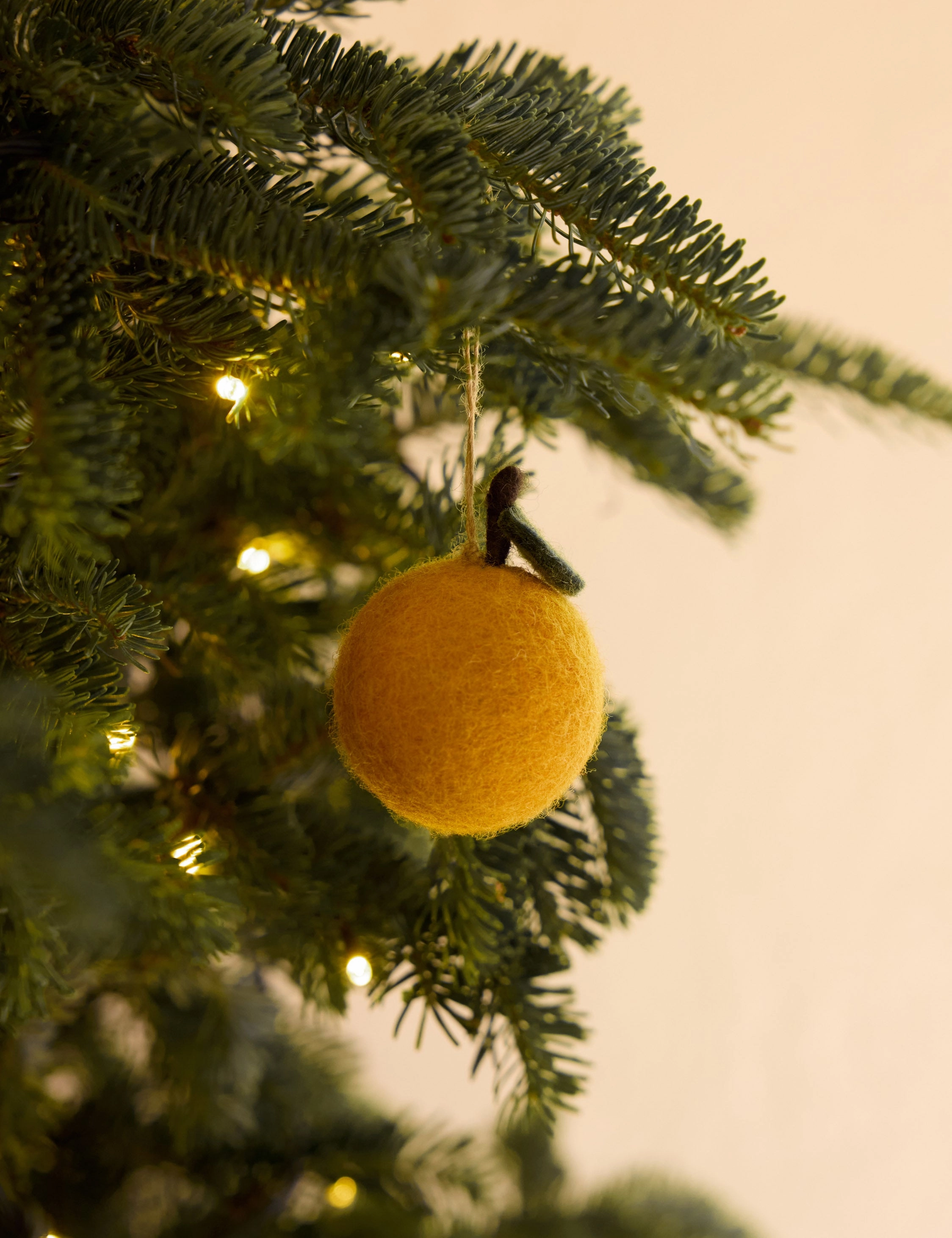 Felt Fruit Ornaments (Set of 4) by Sarah Sherman Samuel