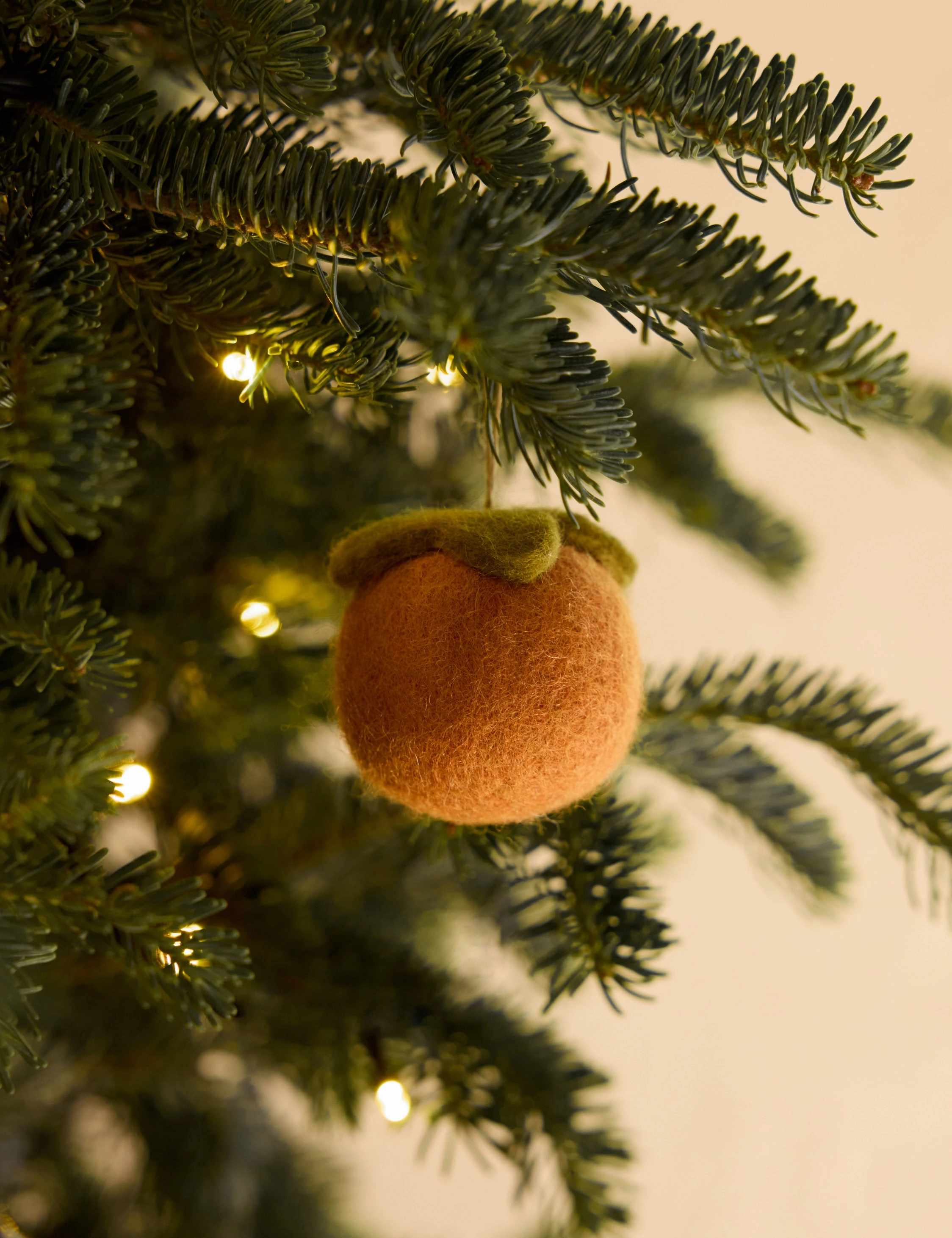 Felt Fruit Ornaments (Set of 4) by Sarah Sherman Samuel