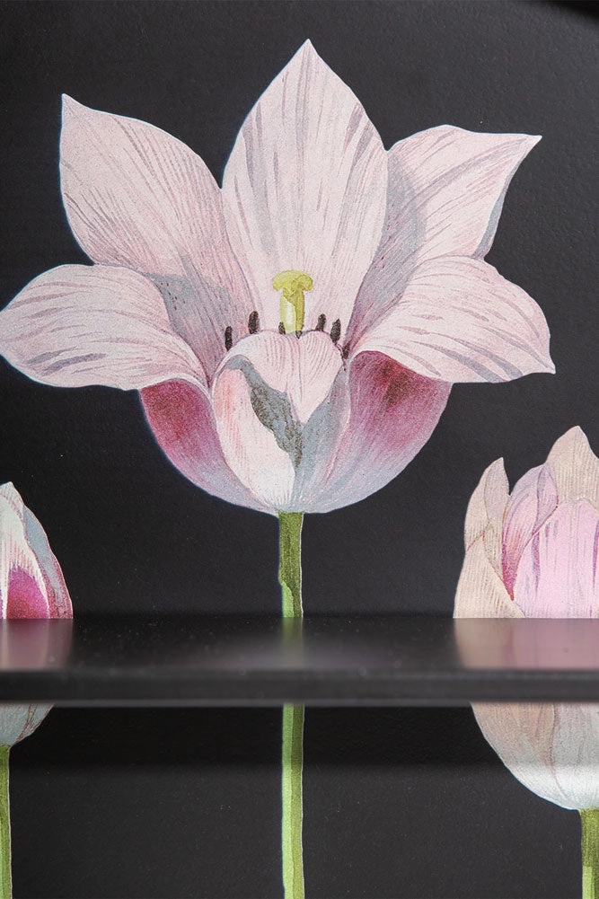 Floral & Black Metal Display Shelves