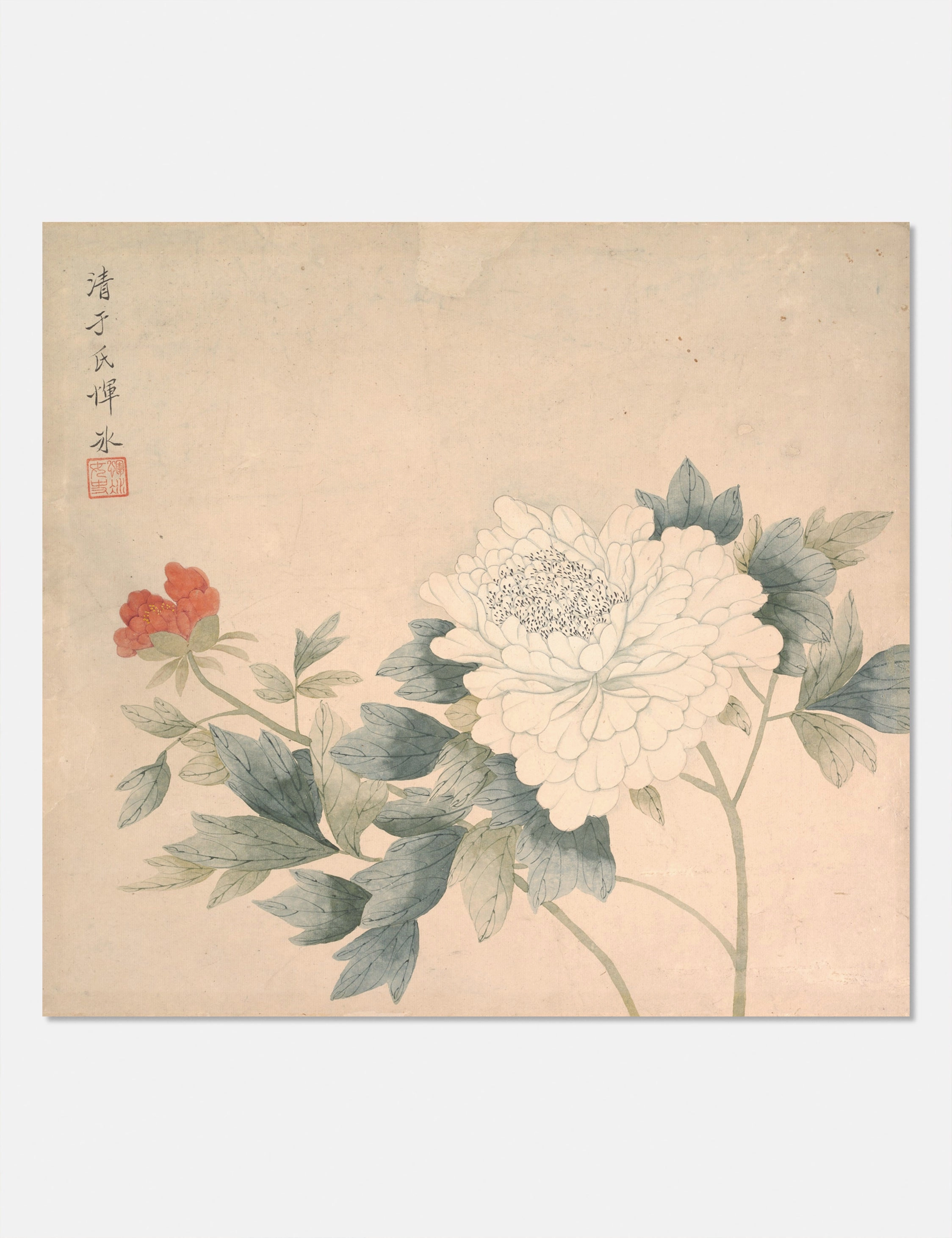 Flower Study 2 Print by Yun Bing