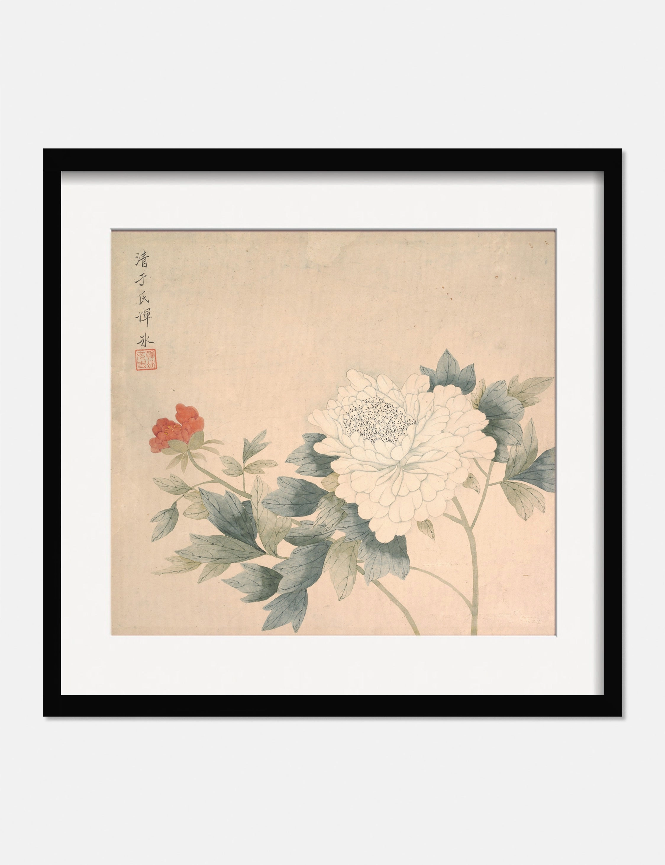 Flower Study 2 Print by Yun Bing