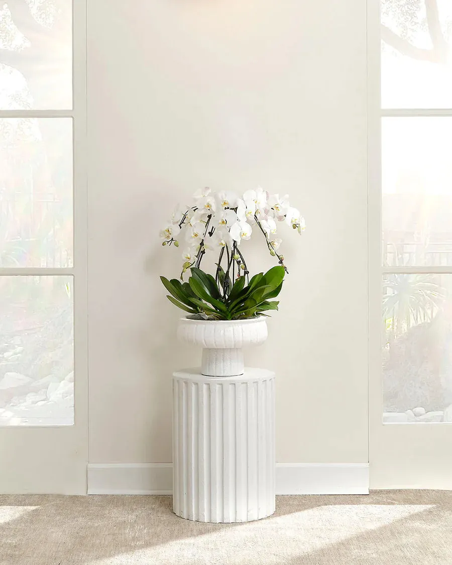 Fluted Side Table