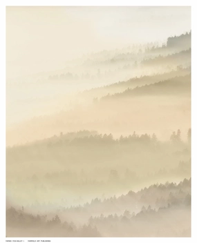 Fog Valley I. 