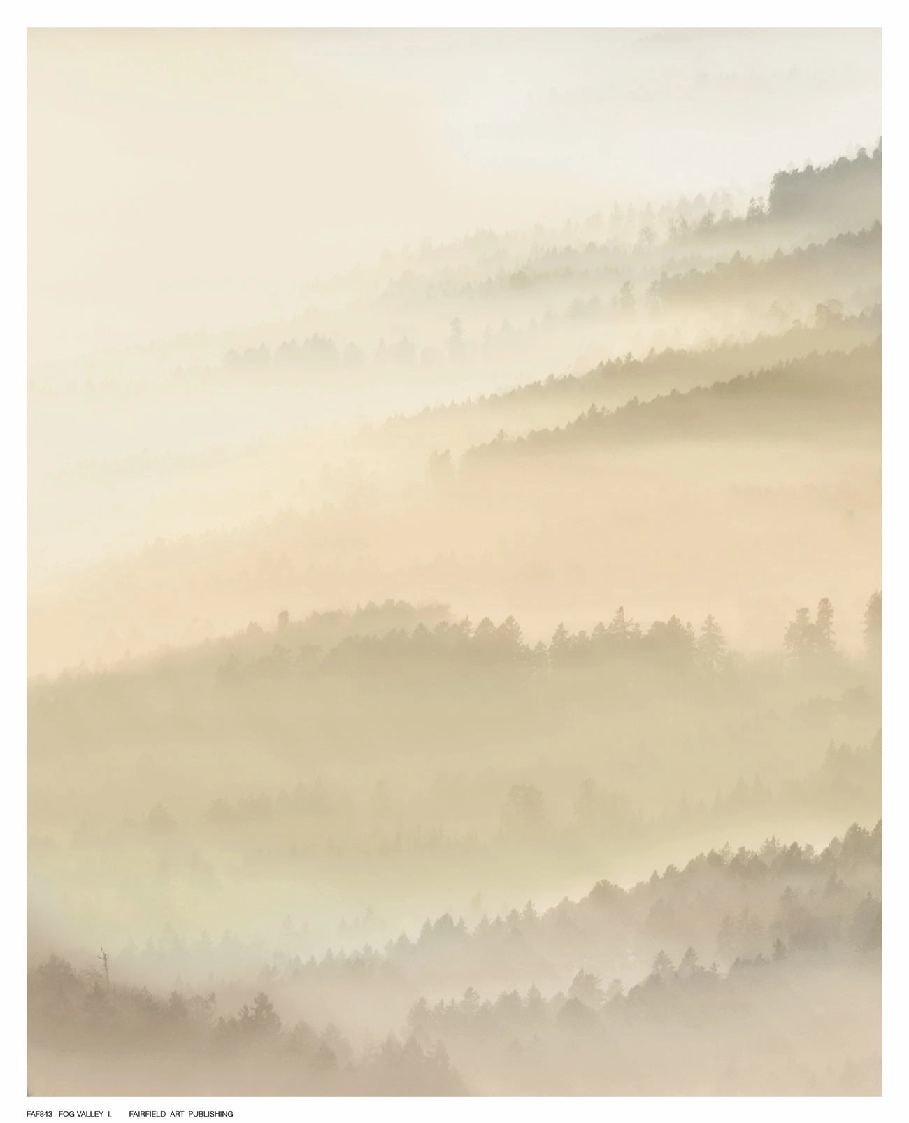 Fog Valley I. 