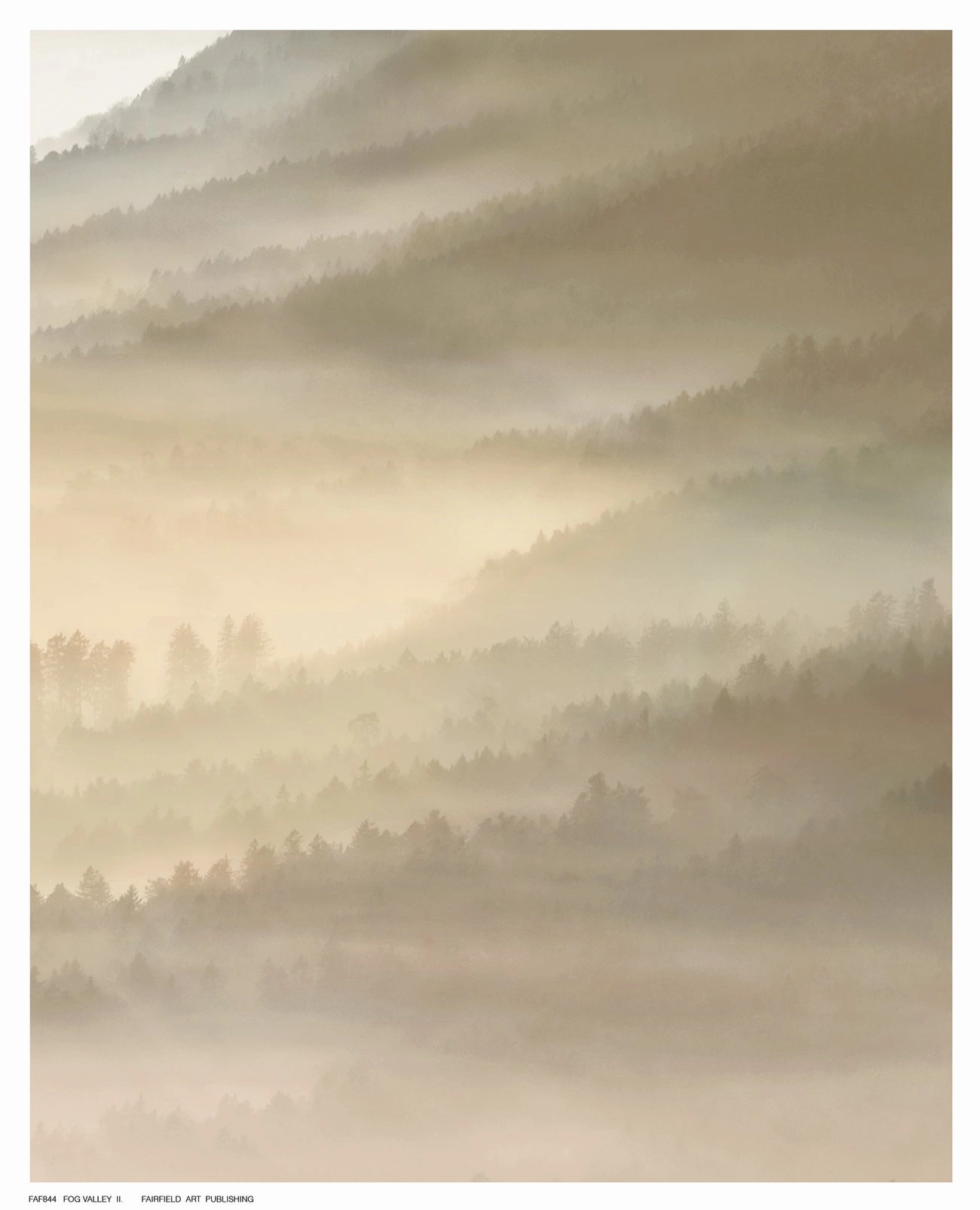 Fog Valley Il. 