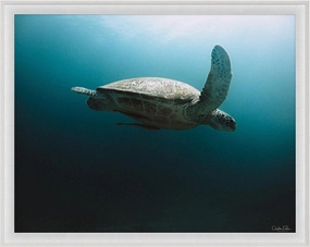 Folden Series 2 Ocean No. 1 Wall Art 