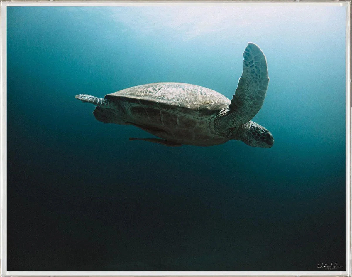Folden Series 2 Ocean No. 1 Wall Art