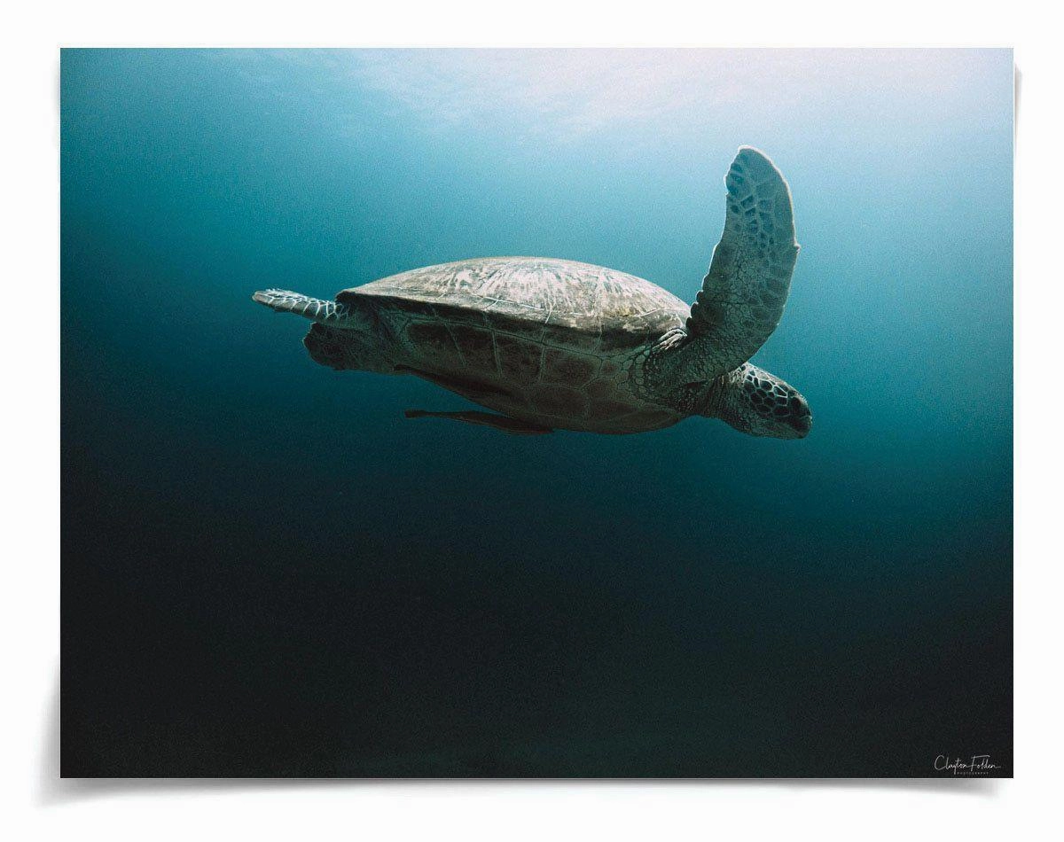 Folden Series 2 Ocean No. 1 Wall Art