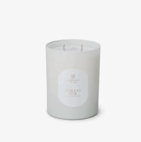 Forest Fir Candle 