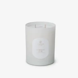 Forest Fir Candle 
