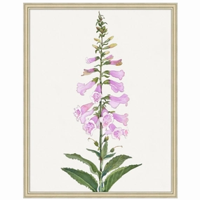 Foxglove Framed Wall Art 