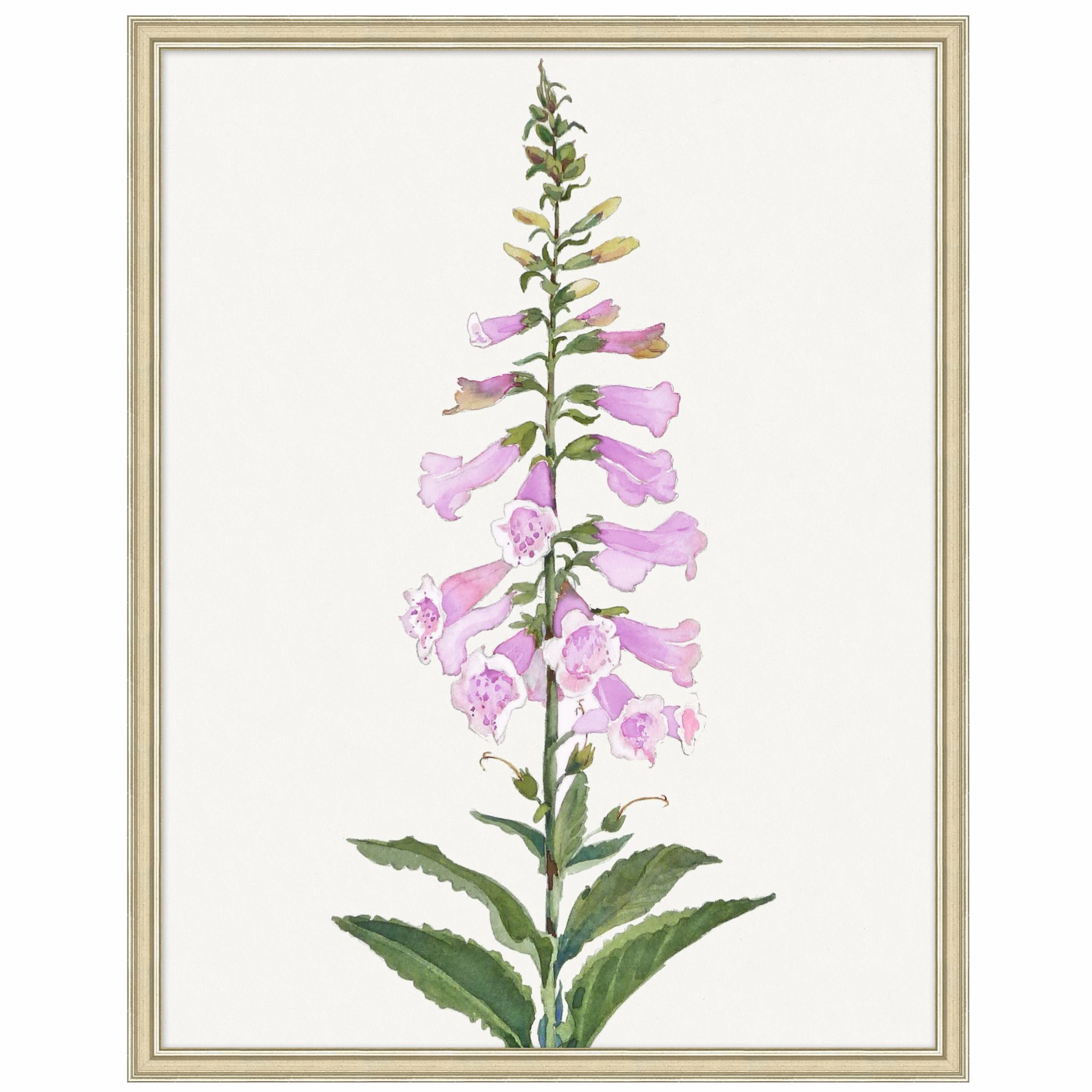 Foxglove Framed Wall Art 