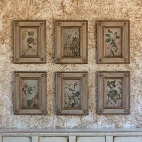 Framed Bird & Floral Aged Print Collection Set 
