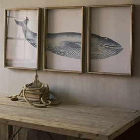 Framed Whale Triptych Print Under Glass 