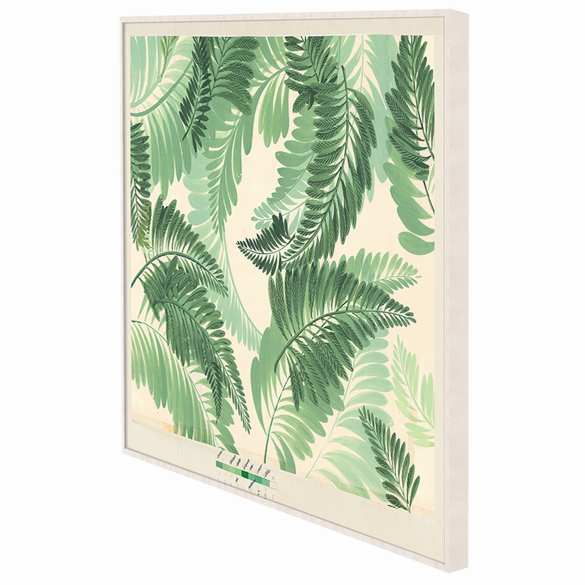 Frederick Steiner Archive, Dancing Ferns